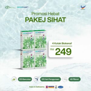 PAKEJ SIHAT (4 KOTAK)